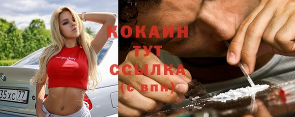 крисы Бронницы