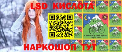 стаф Волгодонск