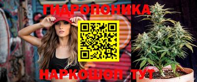 стаф Волжский