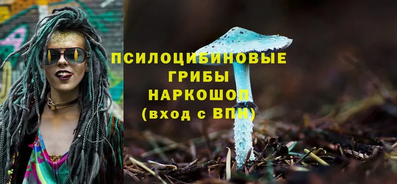 Псилоцибиновые грибы Psilocybe  Городец 