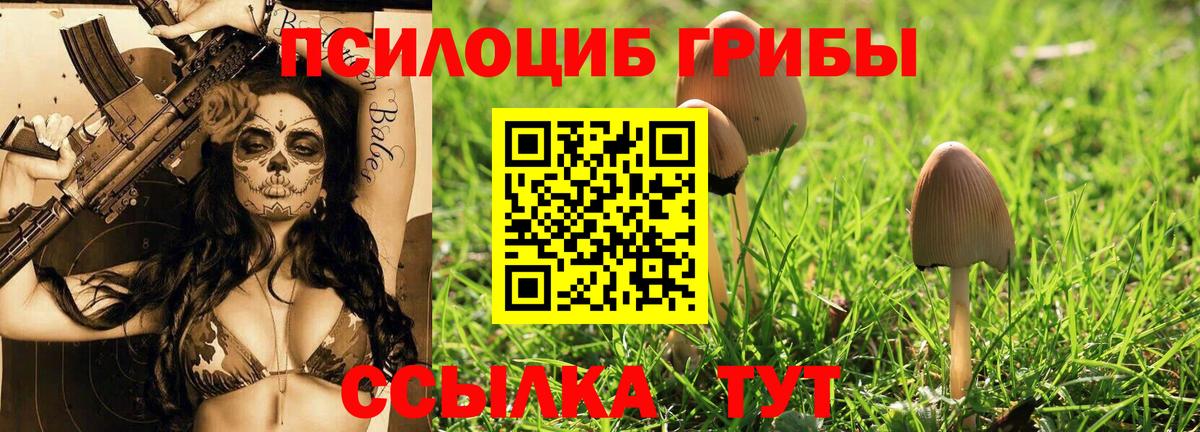 Галлюциногенные грибы прущие грибы  Городец 