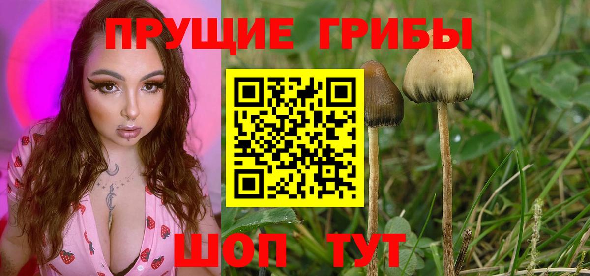 Псилоцибиновые грибы мухоморы Городец