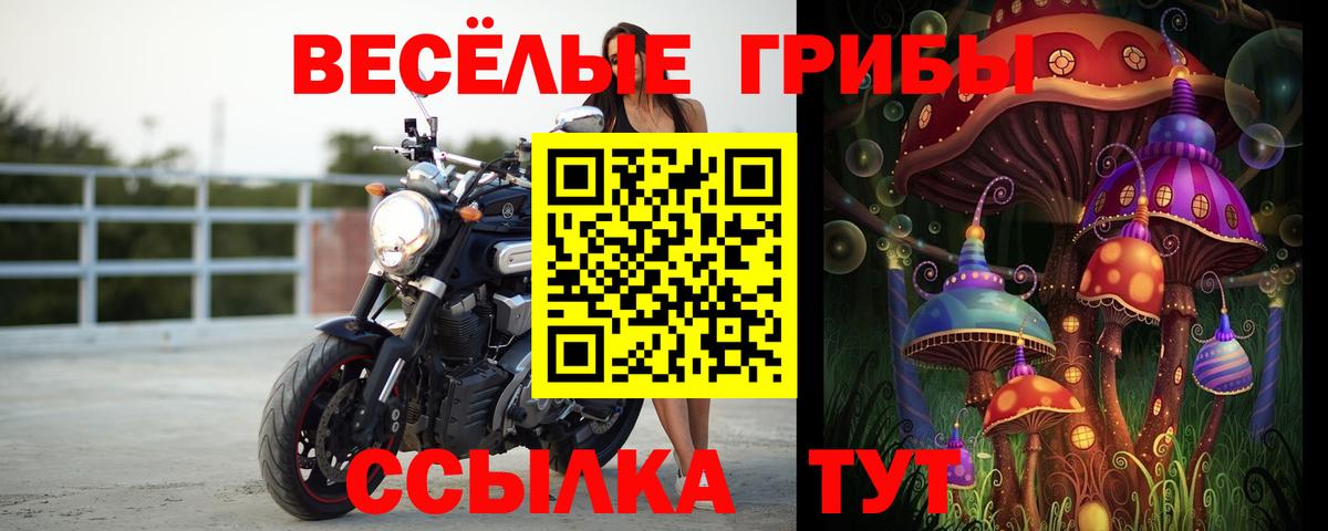 Городец  Псилоцибиновые грибы мухоморы  Вход с VPN  Галлюциногенные грибы мухоморы 