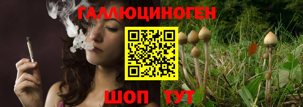 Галлюциногенные грибы мицелий Городец
