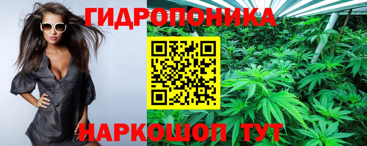 Шишки марихуана THC 21%  Городец  Шишки марихуана планчик 